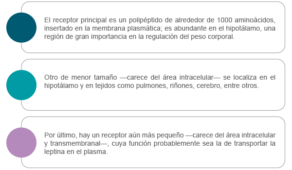 Tabla