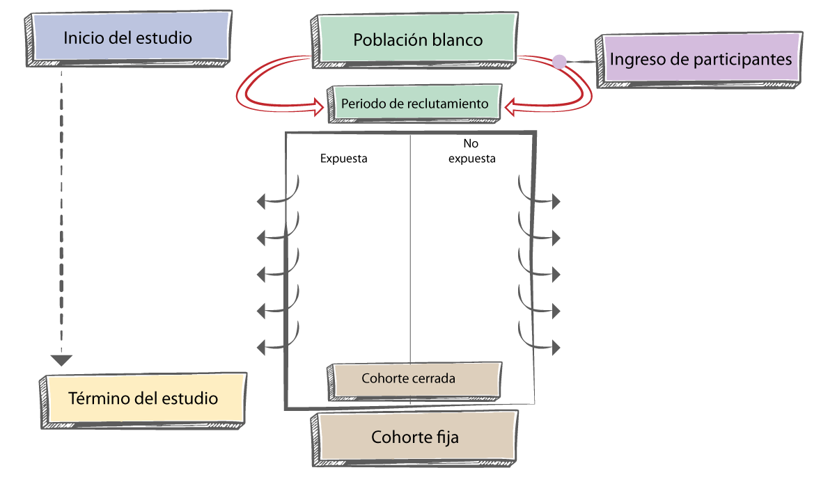 Esquema de una cohorte fija o cerrada.