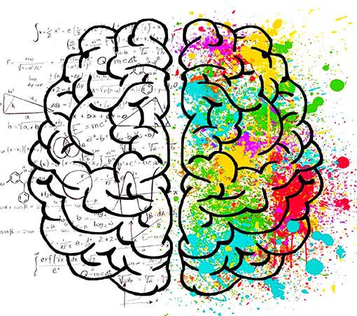 Concepto de lógica y pensamiento estructurado Lóbulos cerebrales y sus conexiones
