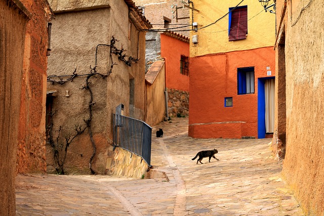 Calle Calle estrecha con casas de colores y fauna doméstica