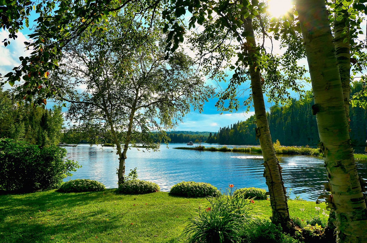 Naturaleza Lago y Bosque