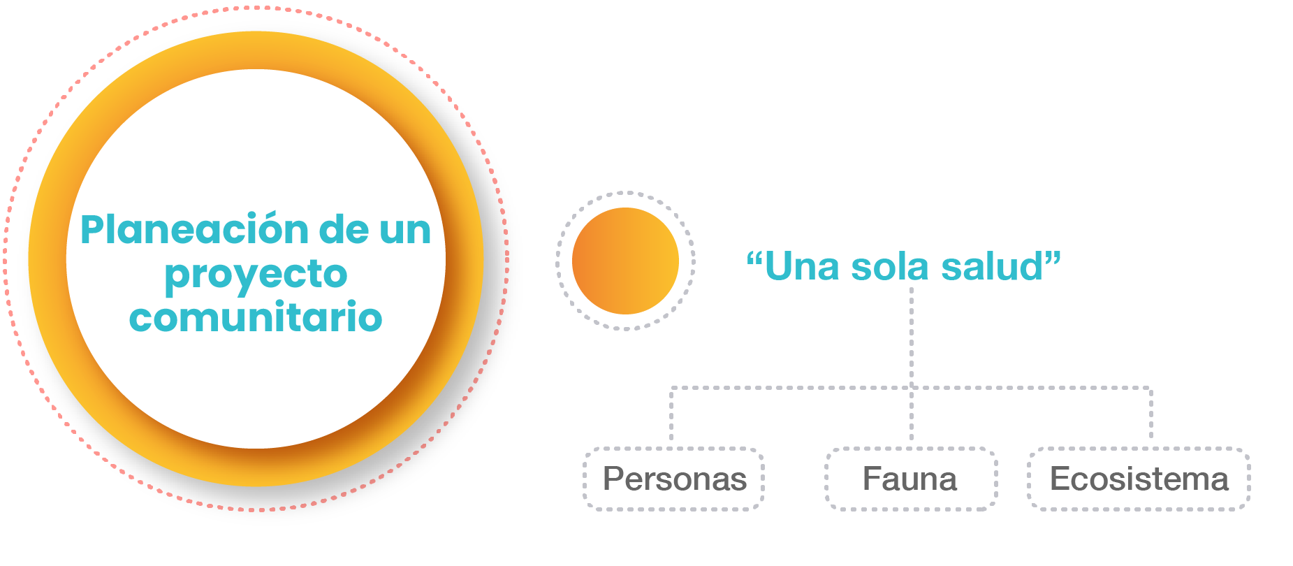 Gráfico que contempla los temas de la UAPA Gráfico que contempla los temas de la UAPA