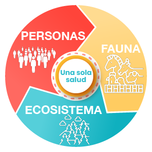 Figura que ilustra el concepto “Una sola salud”