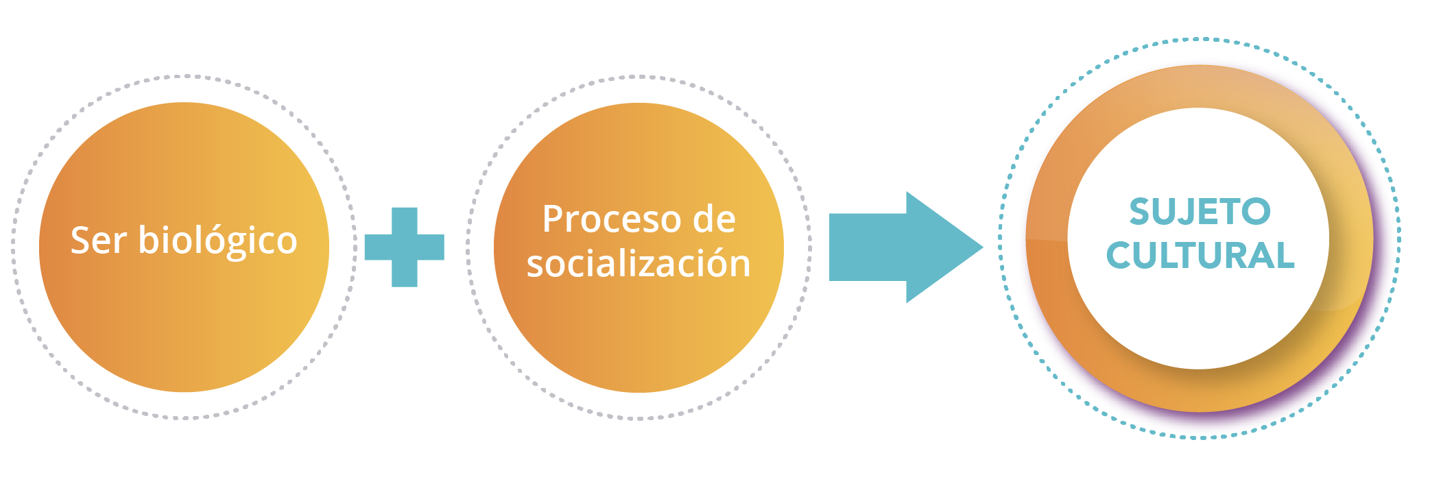 Esquema que explica el proceso cultural
