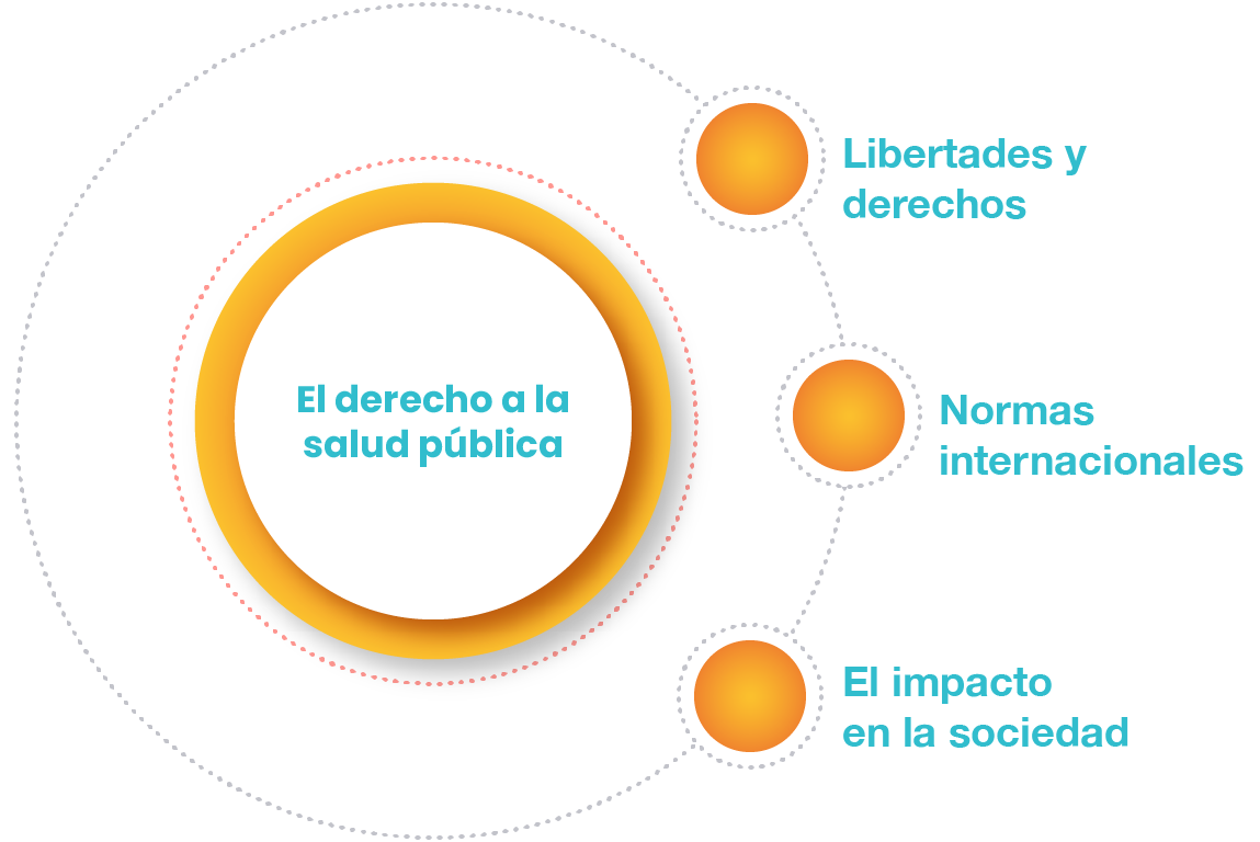 Gráfico que contempla los temas de la UAPA