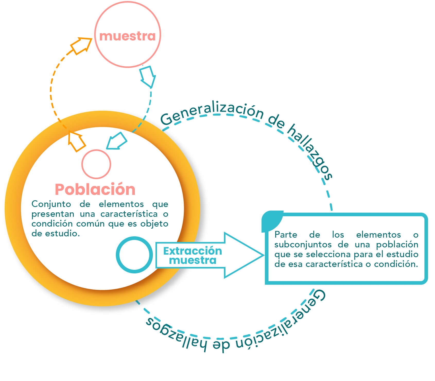 Figura que representa la relación entre la muestra y la población