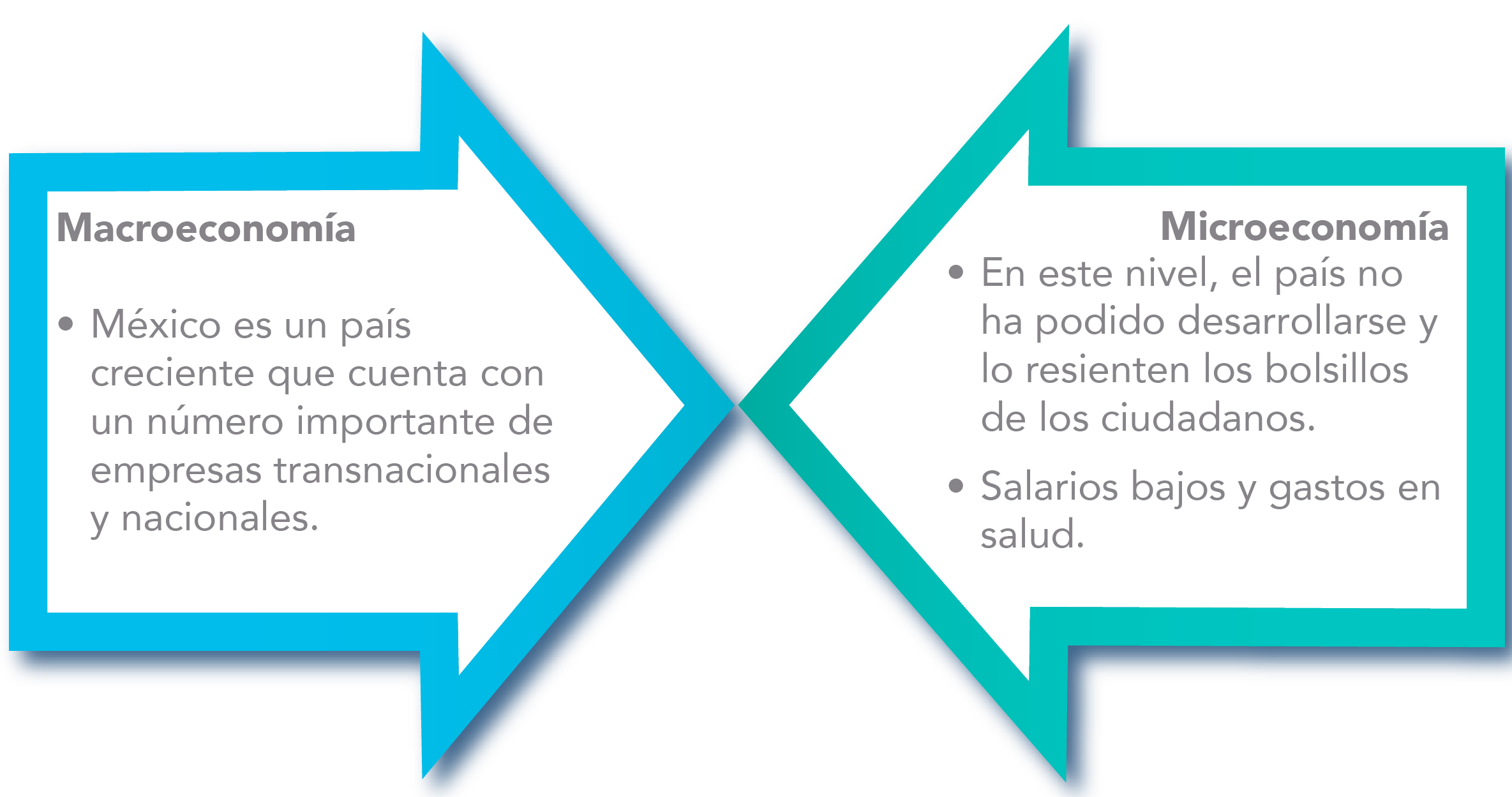 Figura que define la macroeconomía y la microeconomía