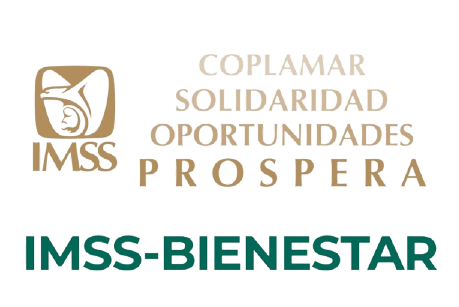 IMSS BIENESTAR