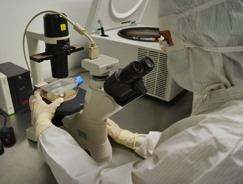 Médico observando un microscopio Médico observando un microscopio