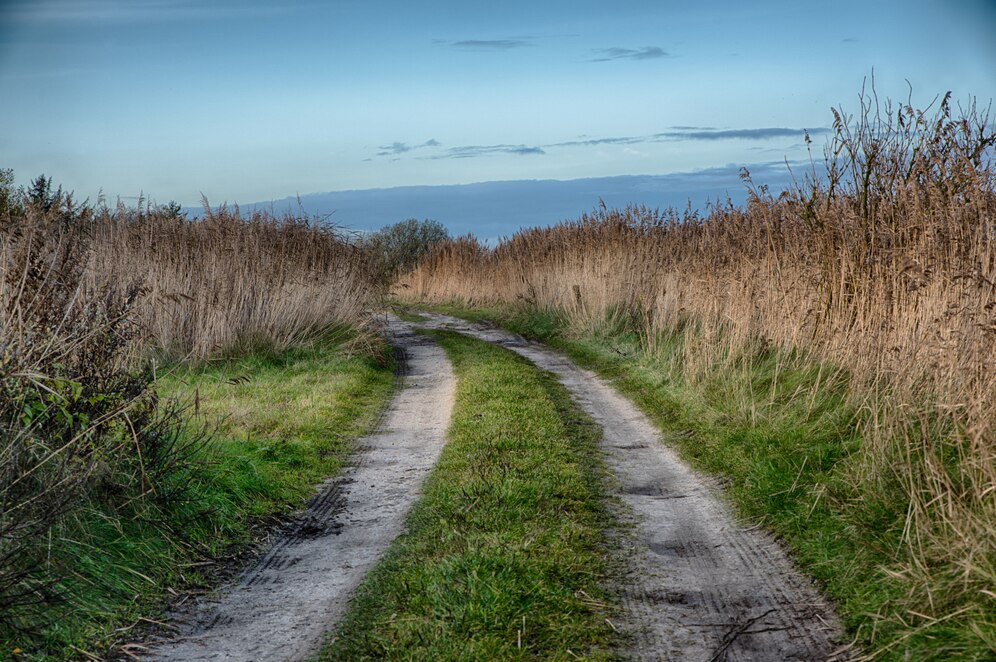 Un camino en medio de un campo en el campo 